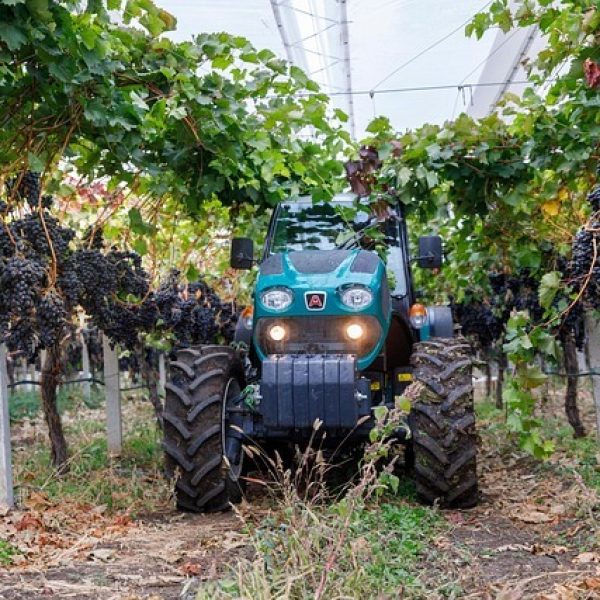 viticulture L'hydraulique dans la viticulture et la viniculture